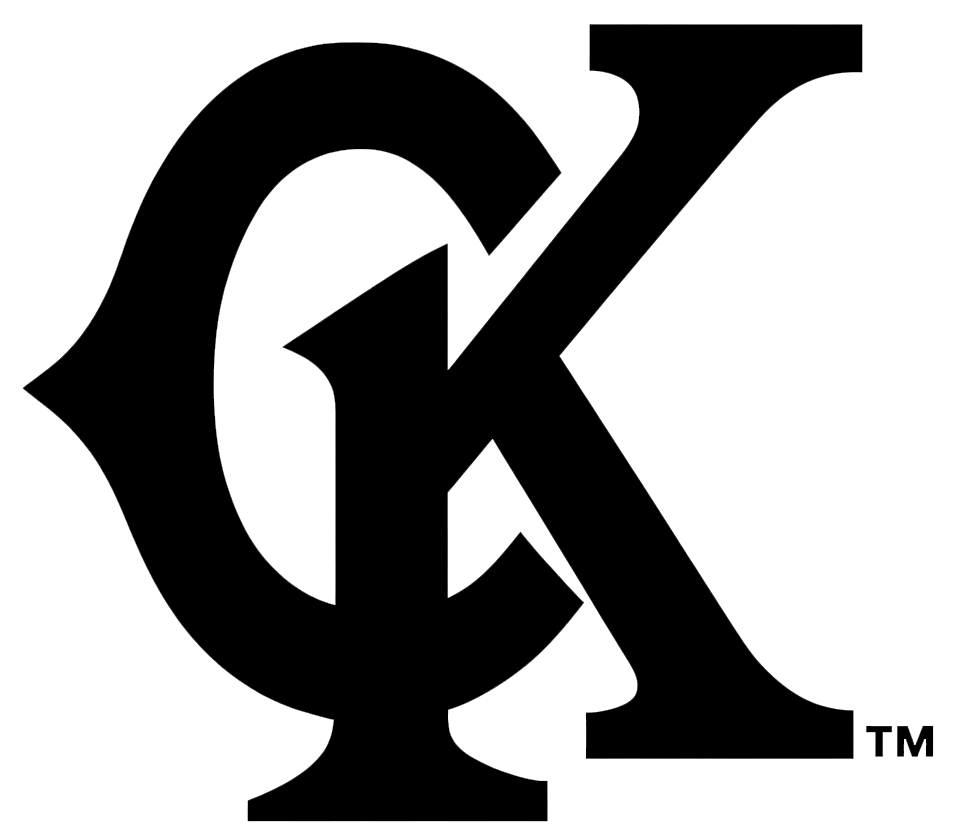 Bronze Sponsor Logo